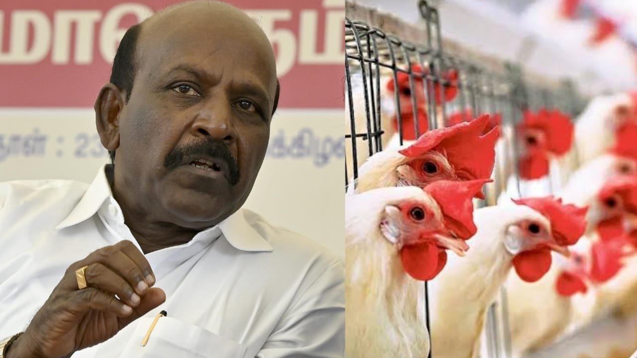 paravai-kachal-in-chennai-updates-news-tamil