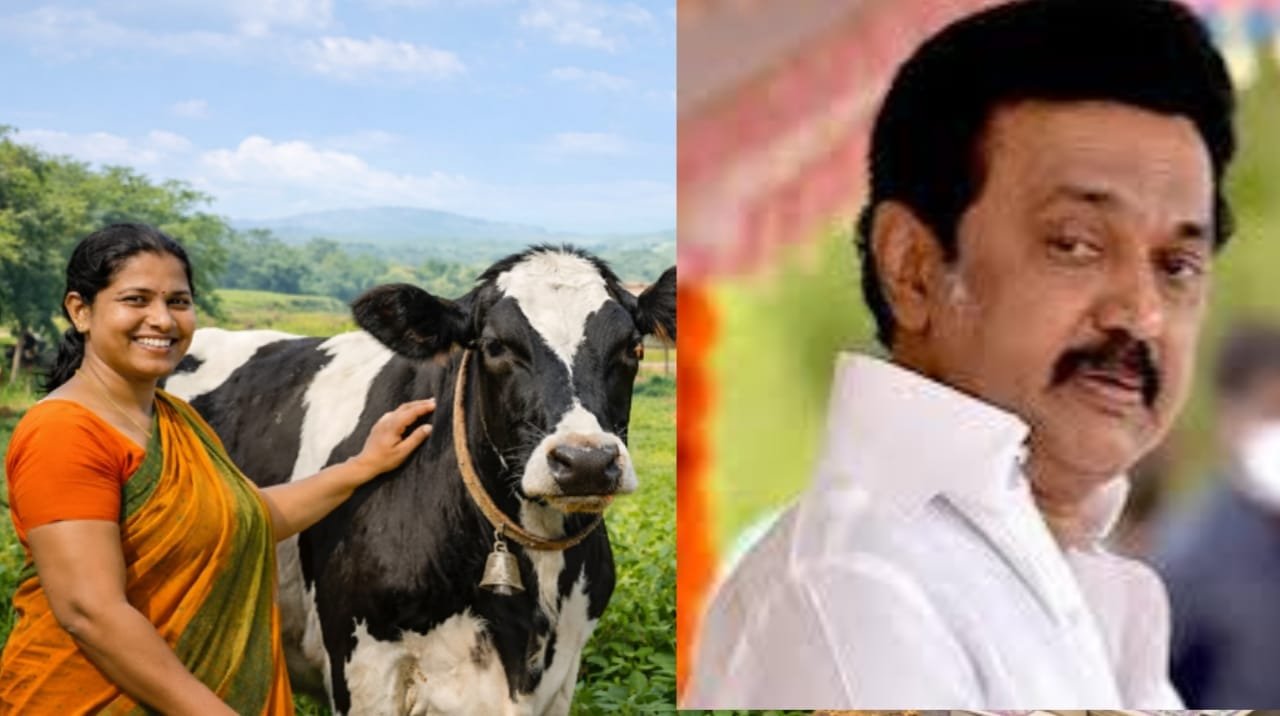 Dairy Farming in tamil