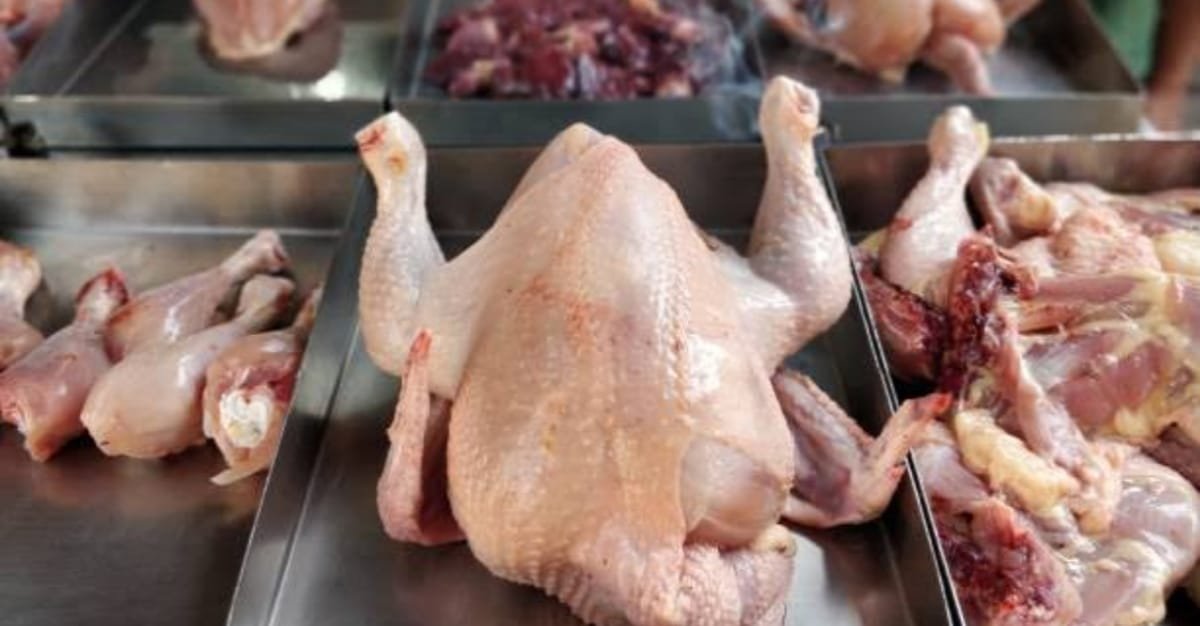stop-sale-broiler-chiken-31july-tamilnadu-puducherry